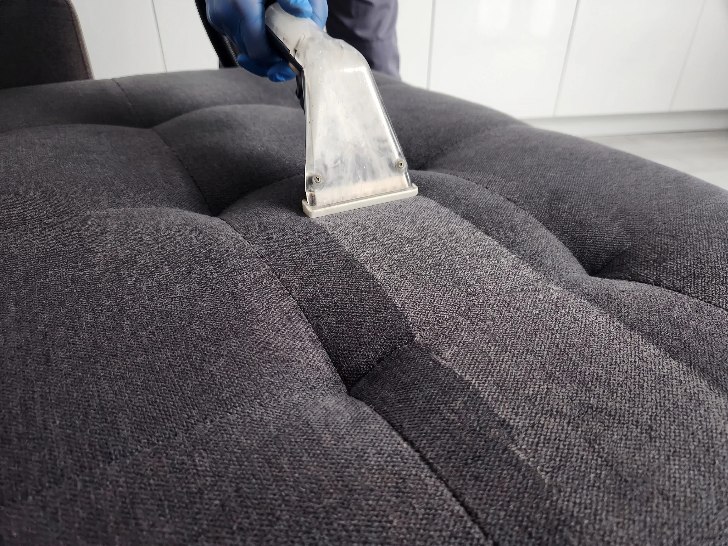 Sofa and upholstery cleaning